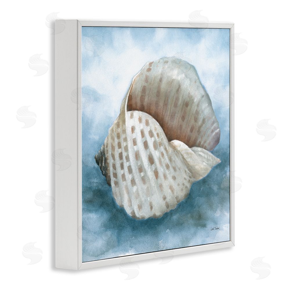 Leslie Trimbach Coastal Calm Spotted Shell White Framed Giclee Wall Art Print