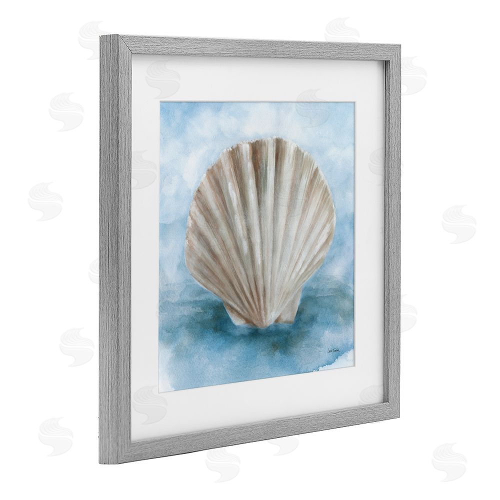Leslie Trimbach Coastal Calm Clamshell Gray Framed Print Under Glass Wall Art