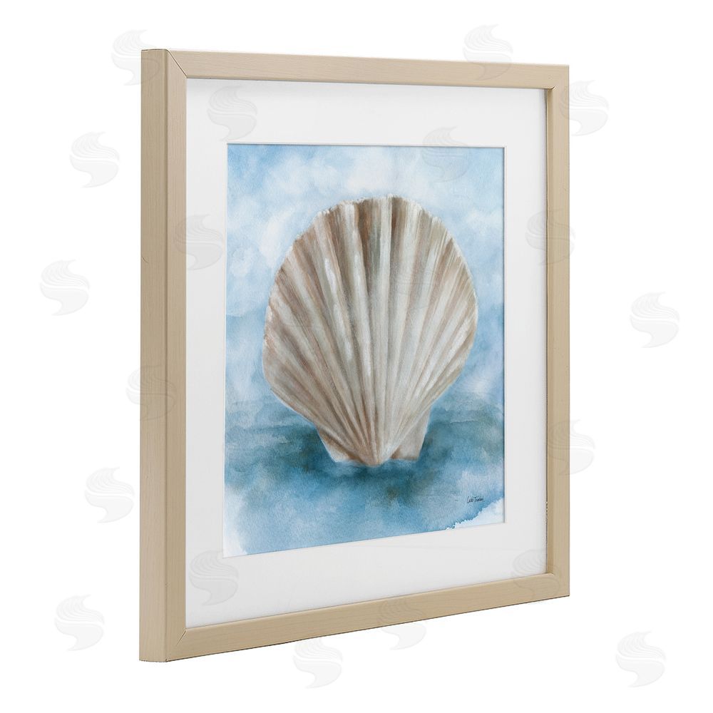 Leslie Trimbach Coastal Calm Clamshell Brown Framed Print Under Glass Wall Art