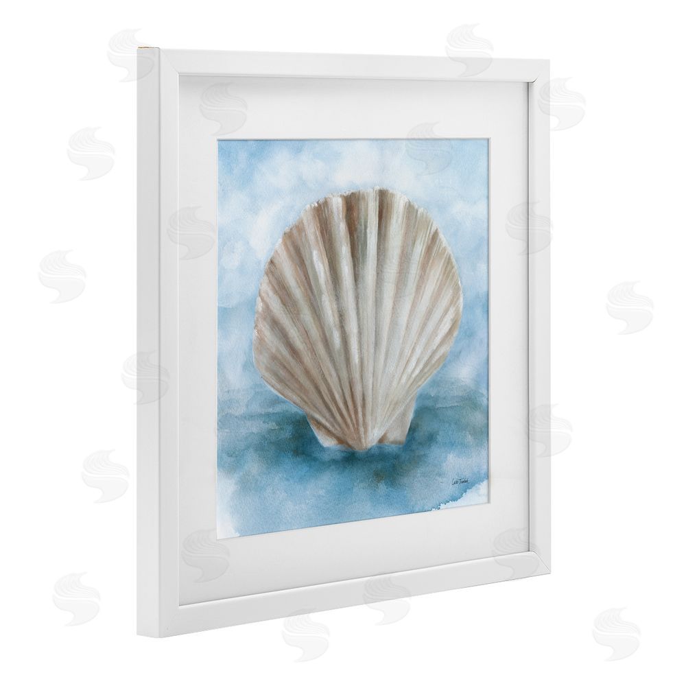 Leslie Trimbach Coastal Calm Clamshell White Framed Print Under Glass Wall Art
