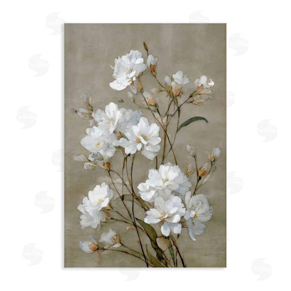 Petal Prints Design Aged White Botanical Study Stretched Canvas Wall Art Print