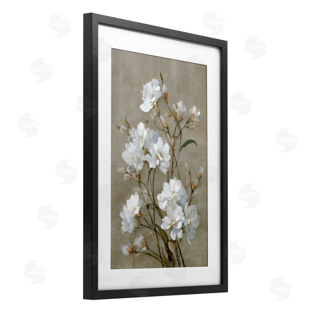 Petal Prints Design Aged White Botanical Study Black Framed Print Under Glass with Matting Wall Art