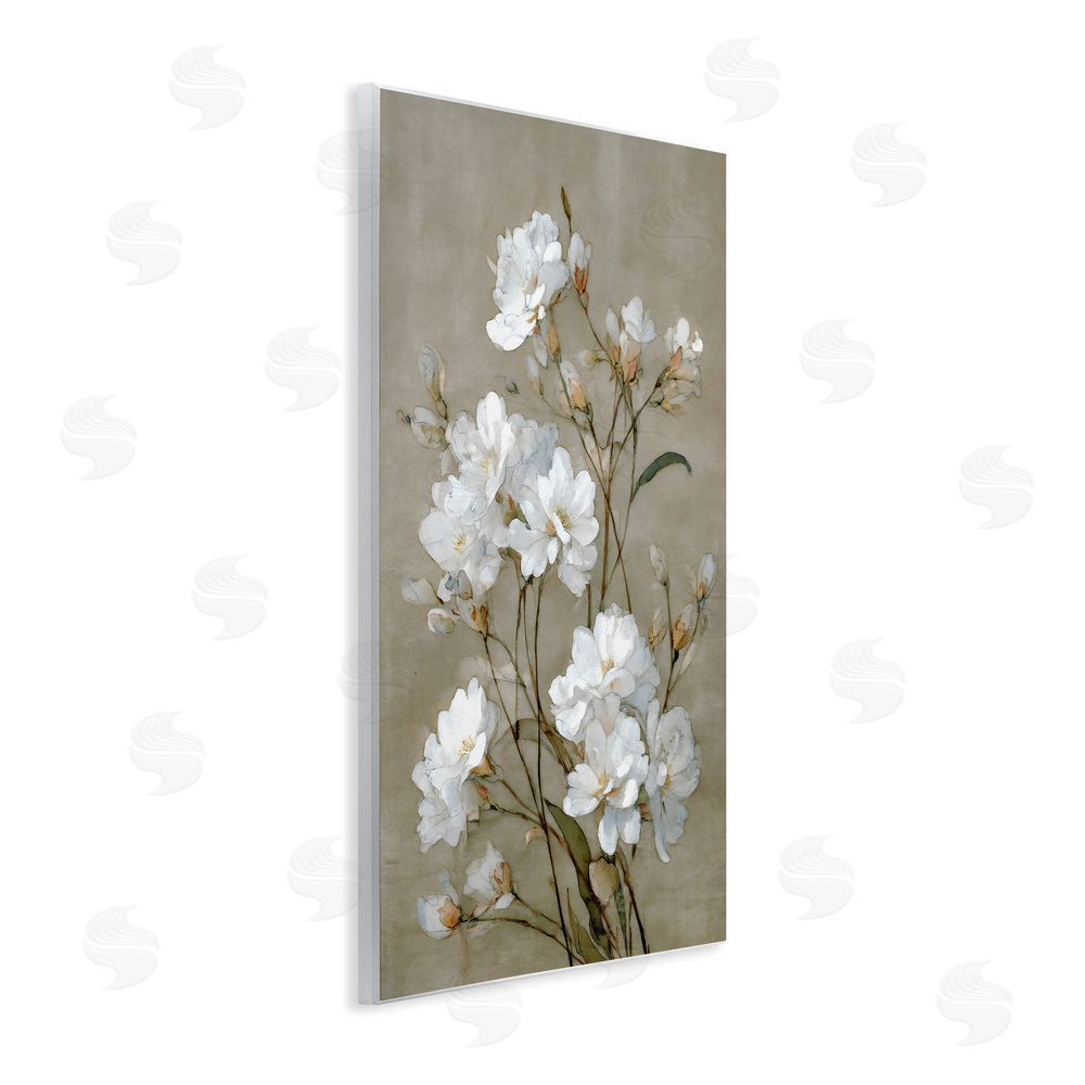 Petal Prints Design Aged White Botanical Study Wall Plaque Art Print with White Foil Wrap