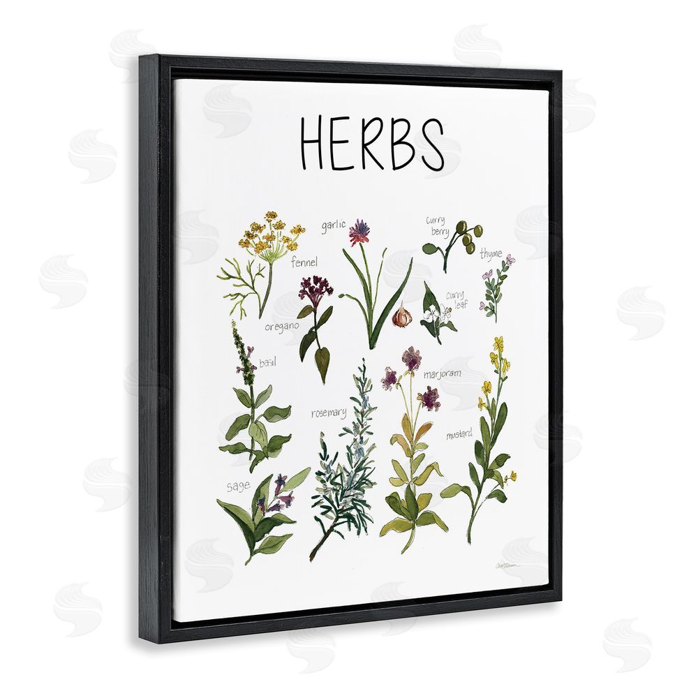 Carol Robinson Herbs Identification Chart Black Floating Frame Canvas Wall Art Print