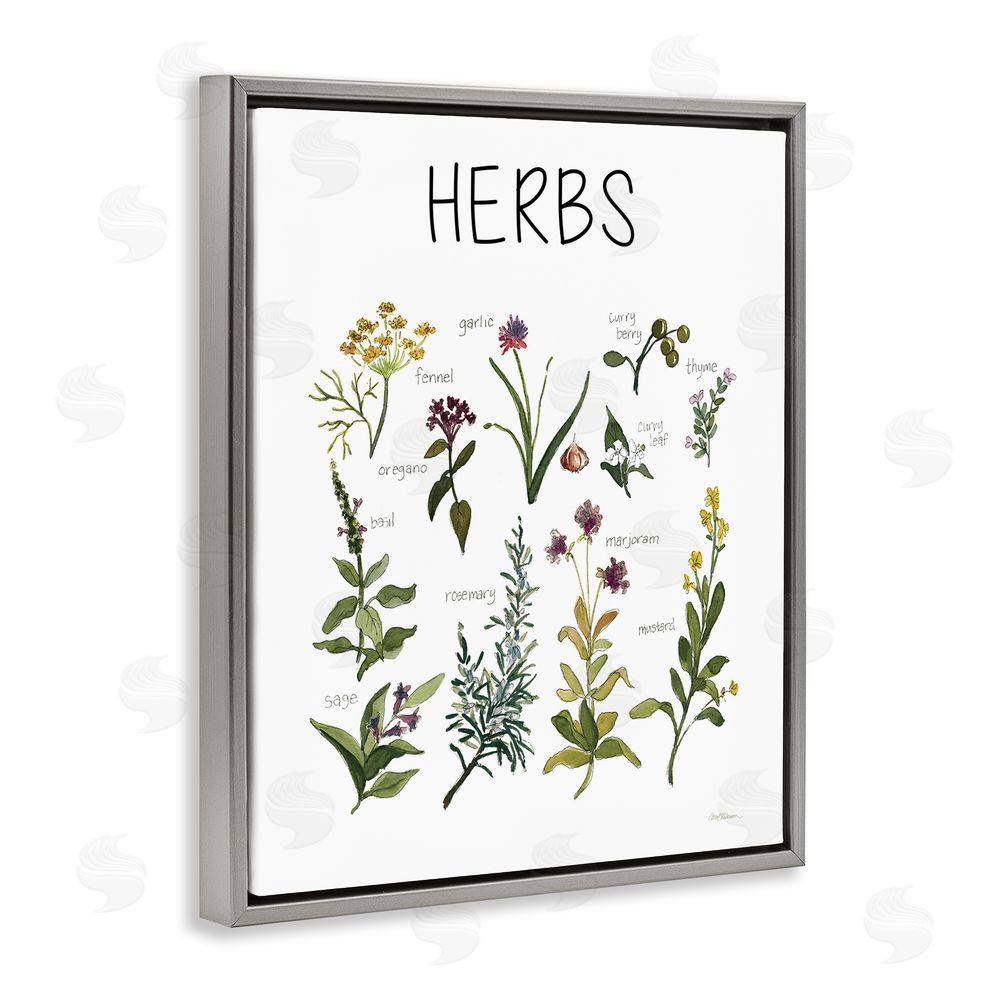 Carol Robinson Herbs Identification Chart Gray Floating Frame Canvas Wall Art Print
