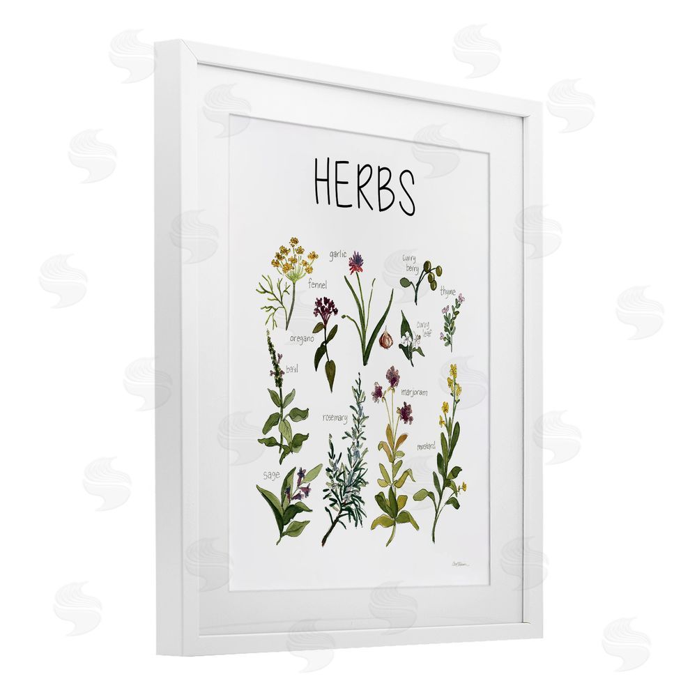 Carol Robinson Herbs Identification Chart White Framed Print Under Glass Wall Art