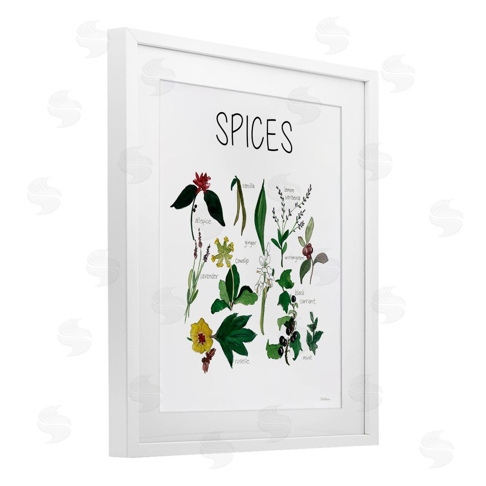 Carol Robinson Spices Identification Chart White Framed Print Under Glass Wall Art