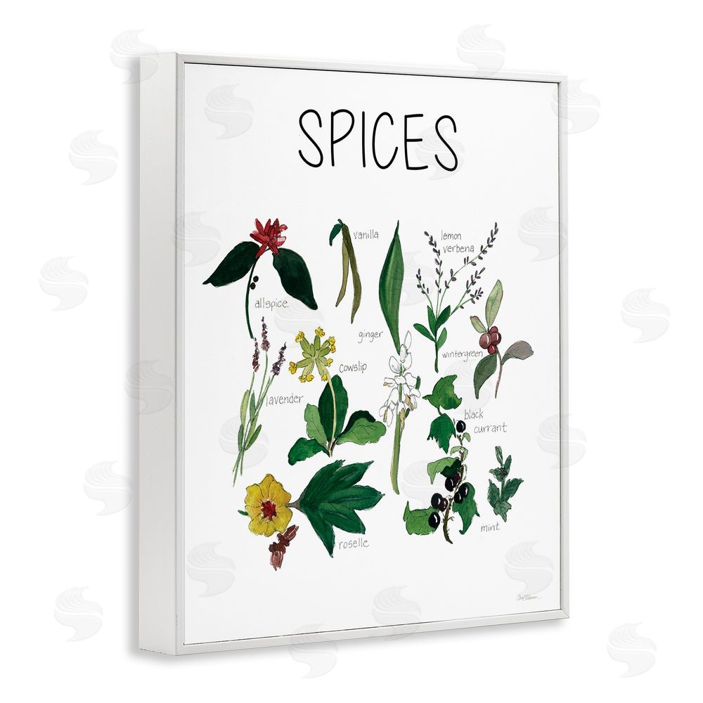 Carol Robinson Spices Identification Chart White Framed Giclee Wall Art Print