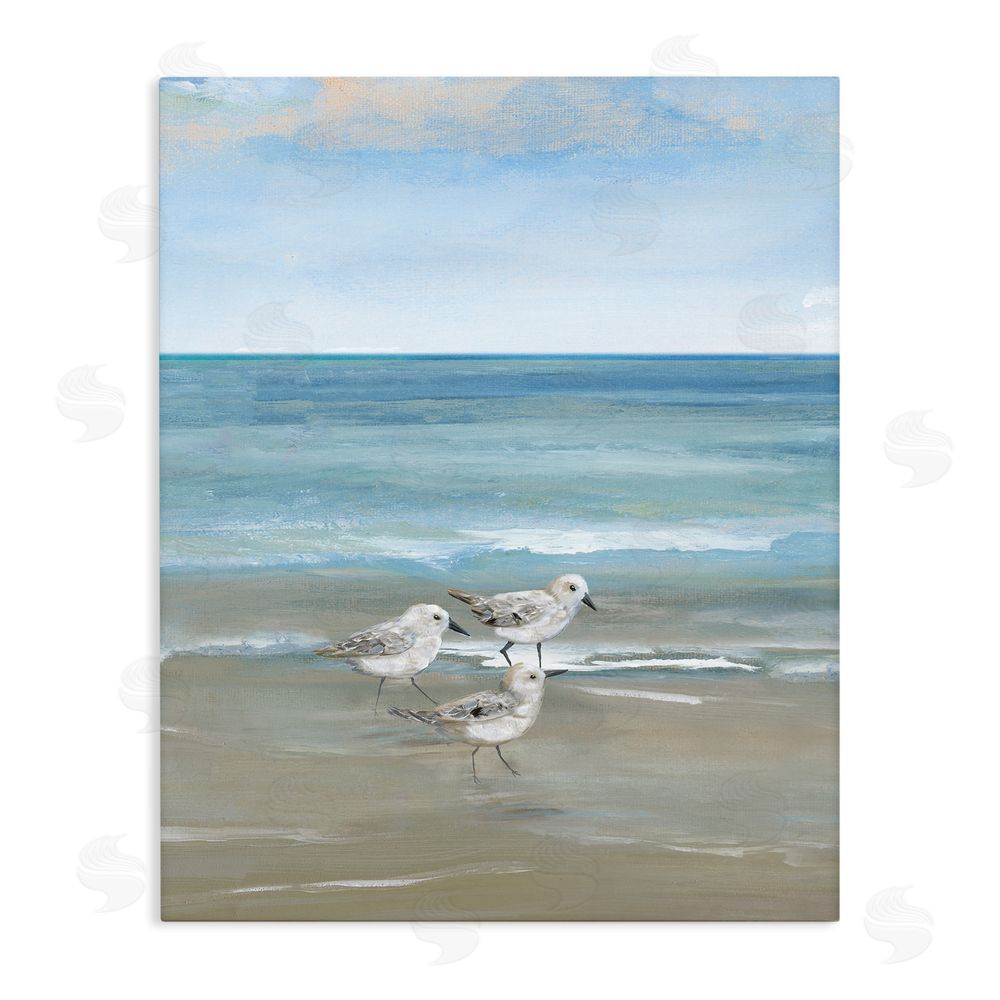 Nan Three Shorebirds & Gentle Waves Stretched Canvas Wall Art Print