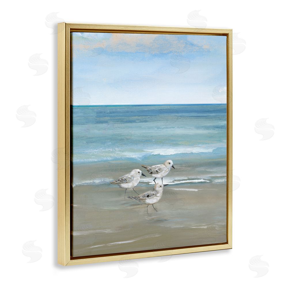 Nan Three Shorebirds & Gentle Waves Gold Floating Frame Canvas Wall Art Print