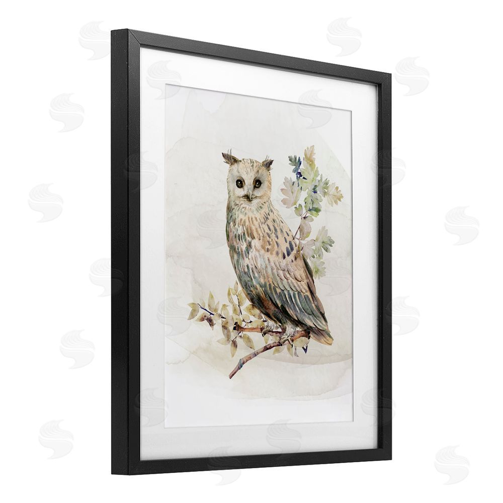 CAD Designs Forest Owl with Foliage Black Framed Print Under Glass Wall Art