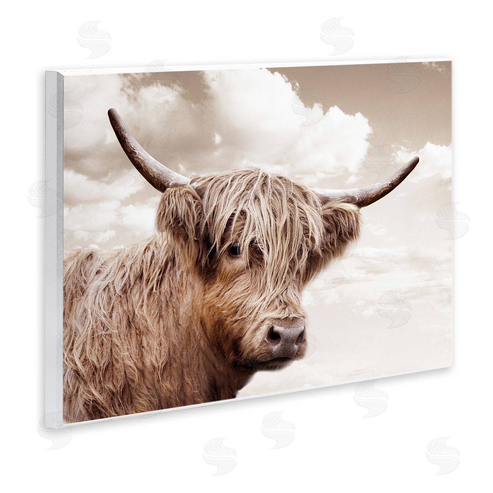CAD Designs Shaggy Highland Cow & Clouds Wooden Wall Plaque Art Print