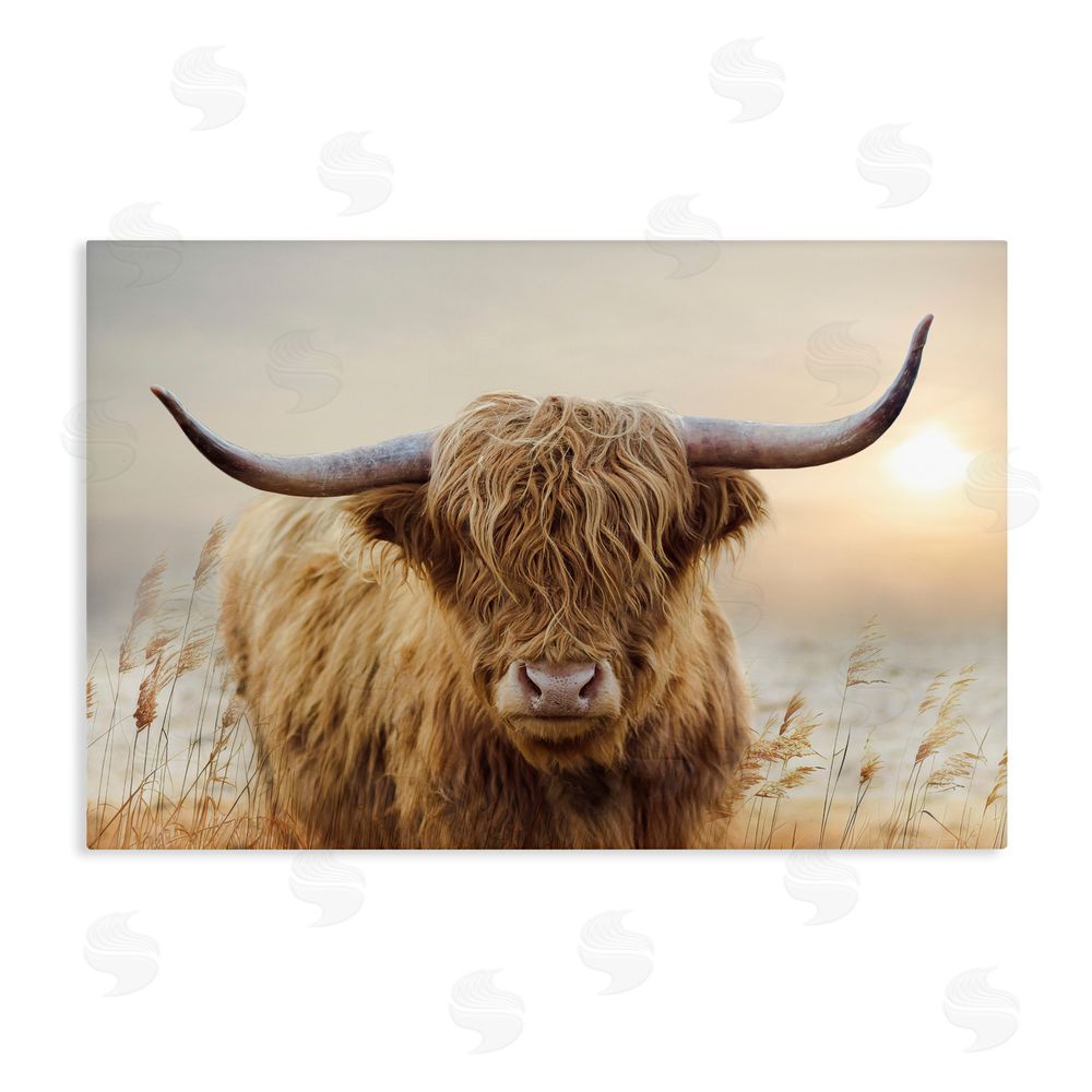 CAD Designs Highland Cow & Warm Sunset Stretched Canvas Wall Art Print