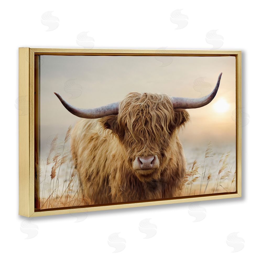 CAD Designs Highland Cow & Warm Sunset Gold Floating Frame Canvas Wall Art Print