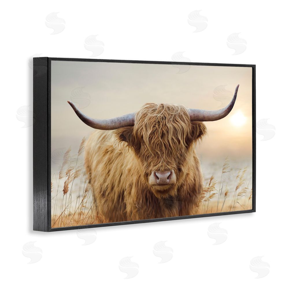 CAD Designs Highland Cow & Warm Sunset Black Framed Giclee Wall Art Print