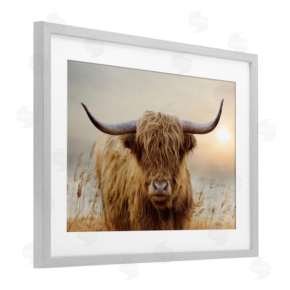 CAD Designs Highland Cow & Warm Sunset Gray Framed Print Under Glass Wall Art
