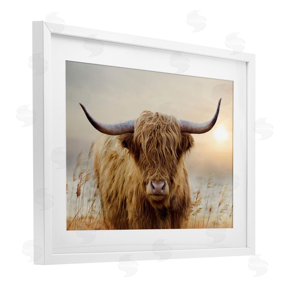 CAD Designs Highland Cow & Warm Sunset White Framed Print Under Glass Wall Art