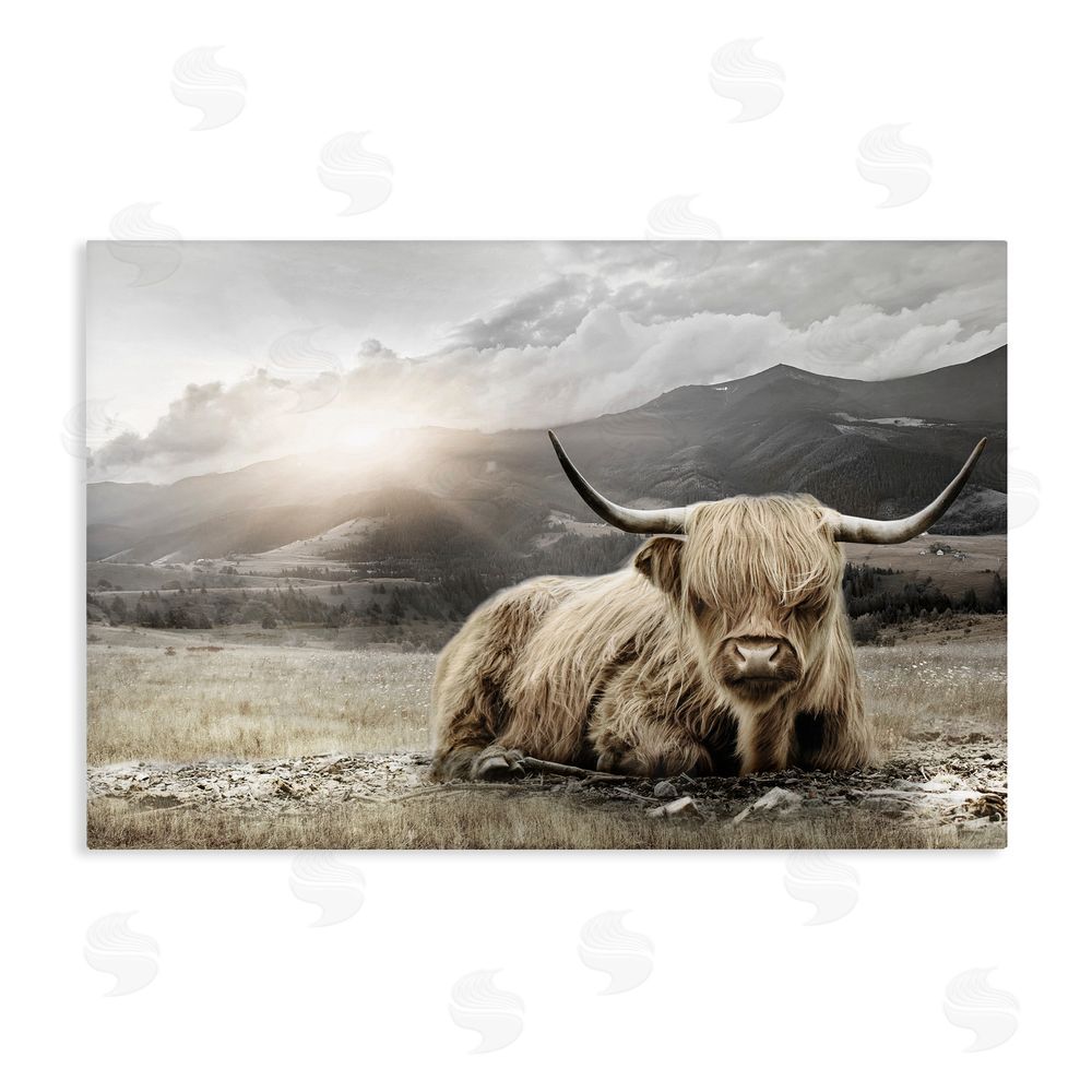CAD Designs Cattle Resting in Morning Sun Stretched Canvas Wall Art Print