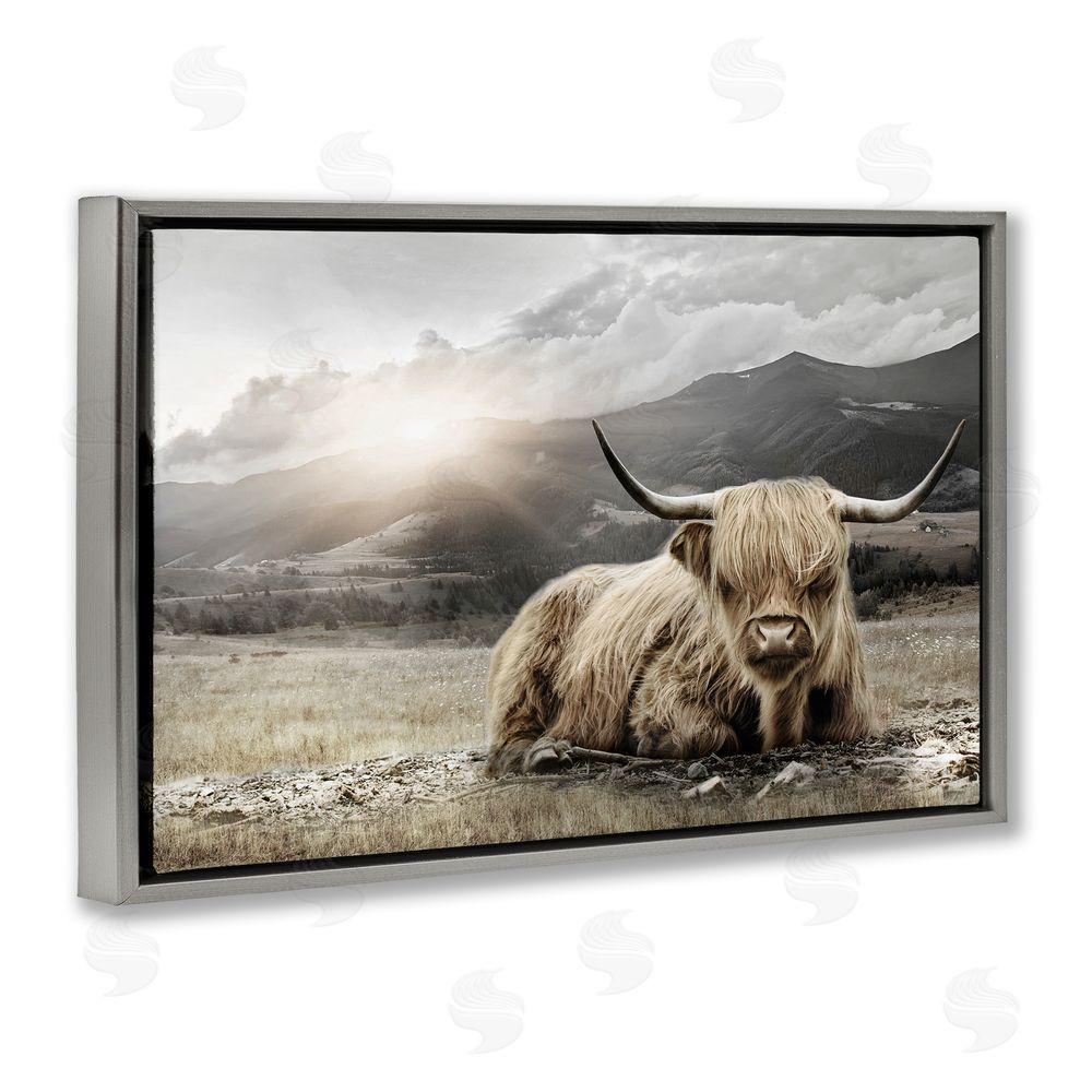 CAD Designs Cattle Resting in Morning Sun Gray Floating Frame Canvas Wall Art Print