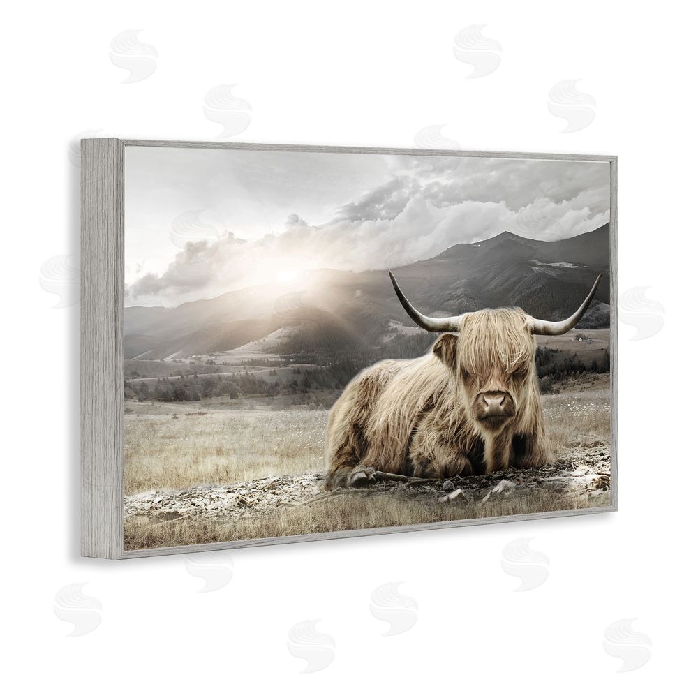 CAD Designs Cattle Resting in Morning Sun Gray Framed Giclee Wall Art Print