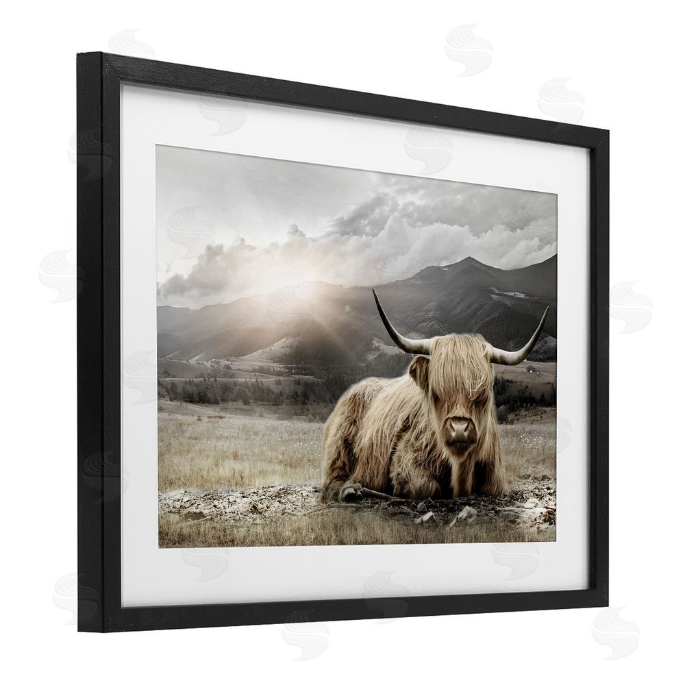 CAD Designs Cattle Resting in Morning Sun Black Framed Print Under Glass Wall Art