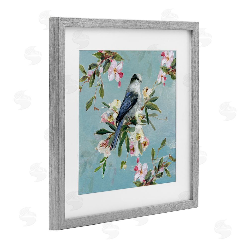 Sally Swatland Pastel Songbird Among Blossoms Gray Framed Print Under Glass Wall Art