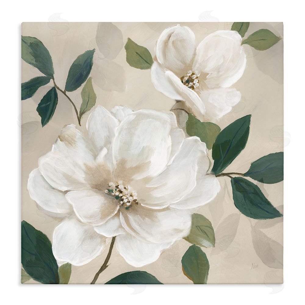 Nan Serene White Magnolia Study Stretched Canvas Wall Art Print