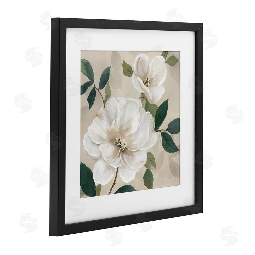 Nan Serene White Magnolia Study Black Framed Print Under Glass Wall Art