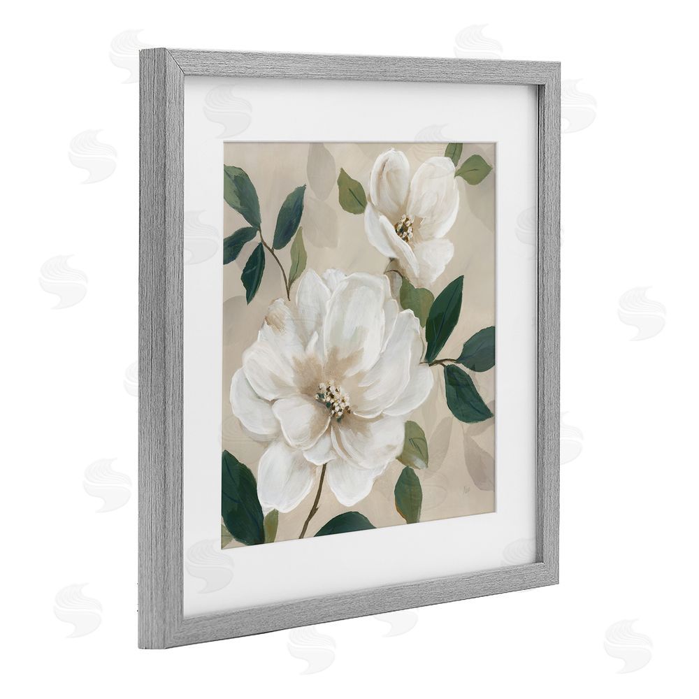 Nan Serene White Magnolia Study Gray Framed Print Under Glass Wall Art