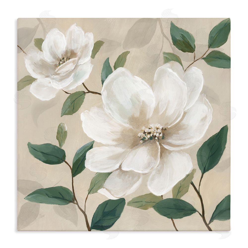 Nan Serene White Blossom with Leaves Stretched Canvas Wall Art Print