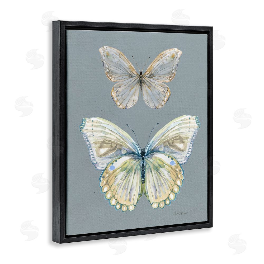 Carol Robinson Butterfly Pair Study Black Floating Frame Canvas Wall Art Print