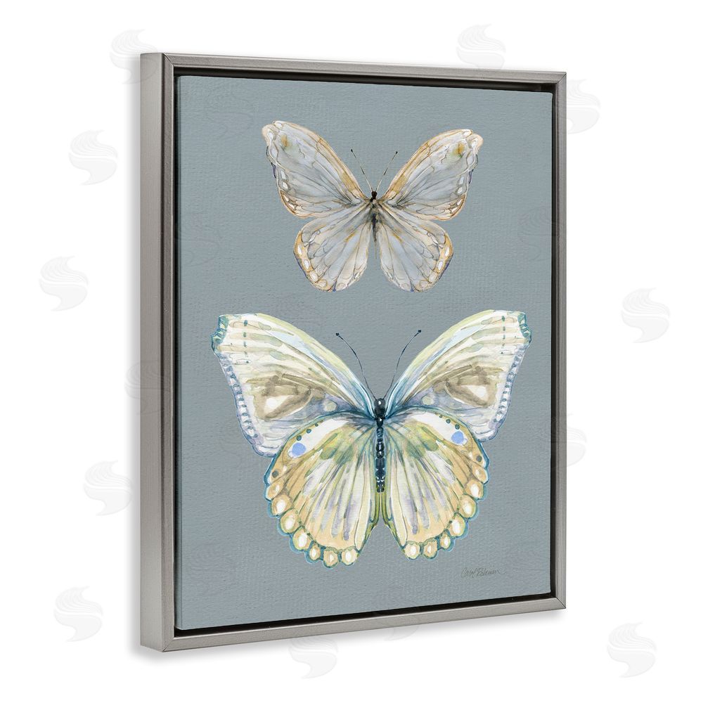 Carol Robinson Butterfly Pair Study Gray Floating Frame Canvas Wall Art Print
