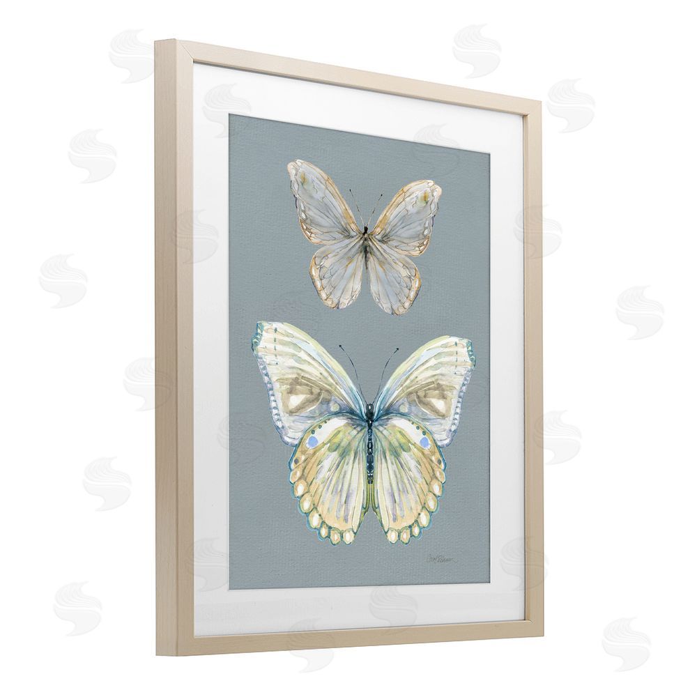 Carol Robinson Butterfly Pair Study Brown Framed Print Under Glass Wall Art