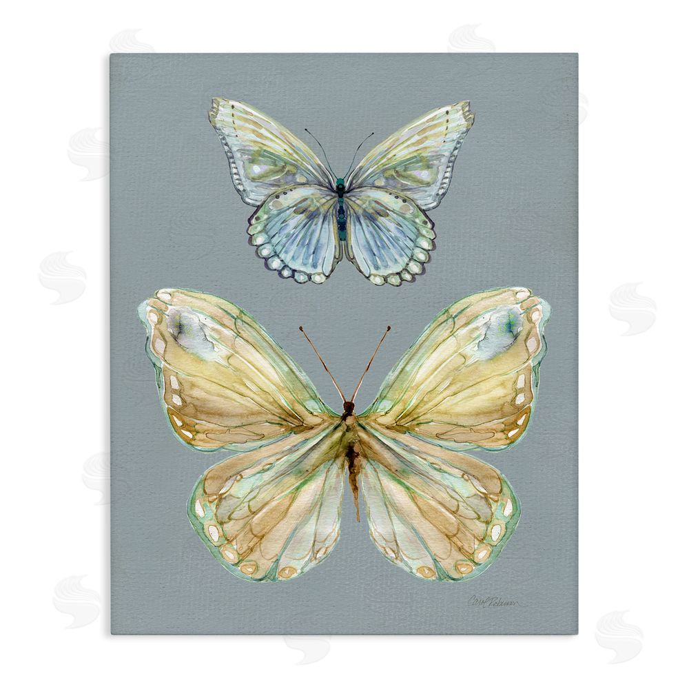 Carol Robinson Delicate Butterflies on Slate Stretched Canvas Wall Art Print