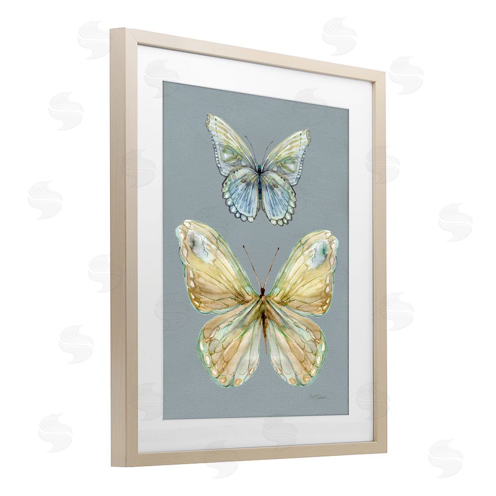 Carol Robinson Delicate Butterflies on Slate Brown Framed Print Under Glass Wall Art