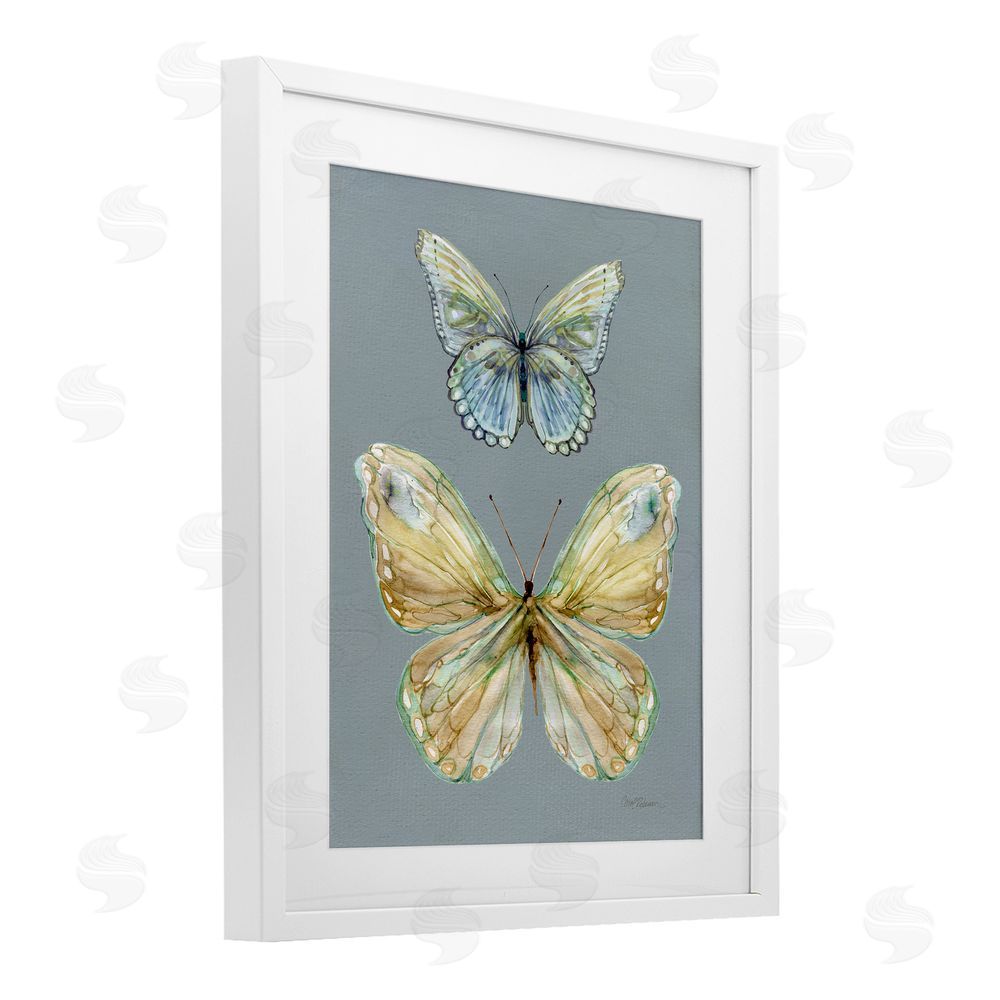 Carol Robinson Delicate Butterflies on Slate White Framed Print Under Glass Wall Art