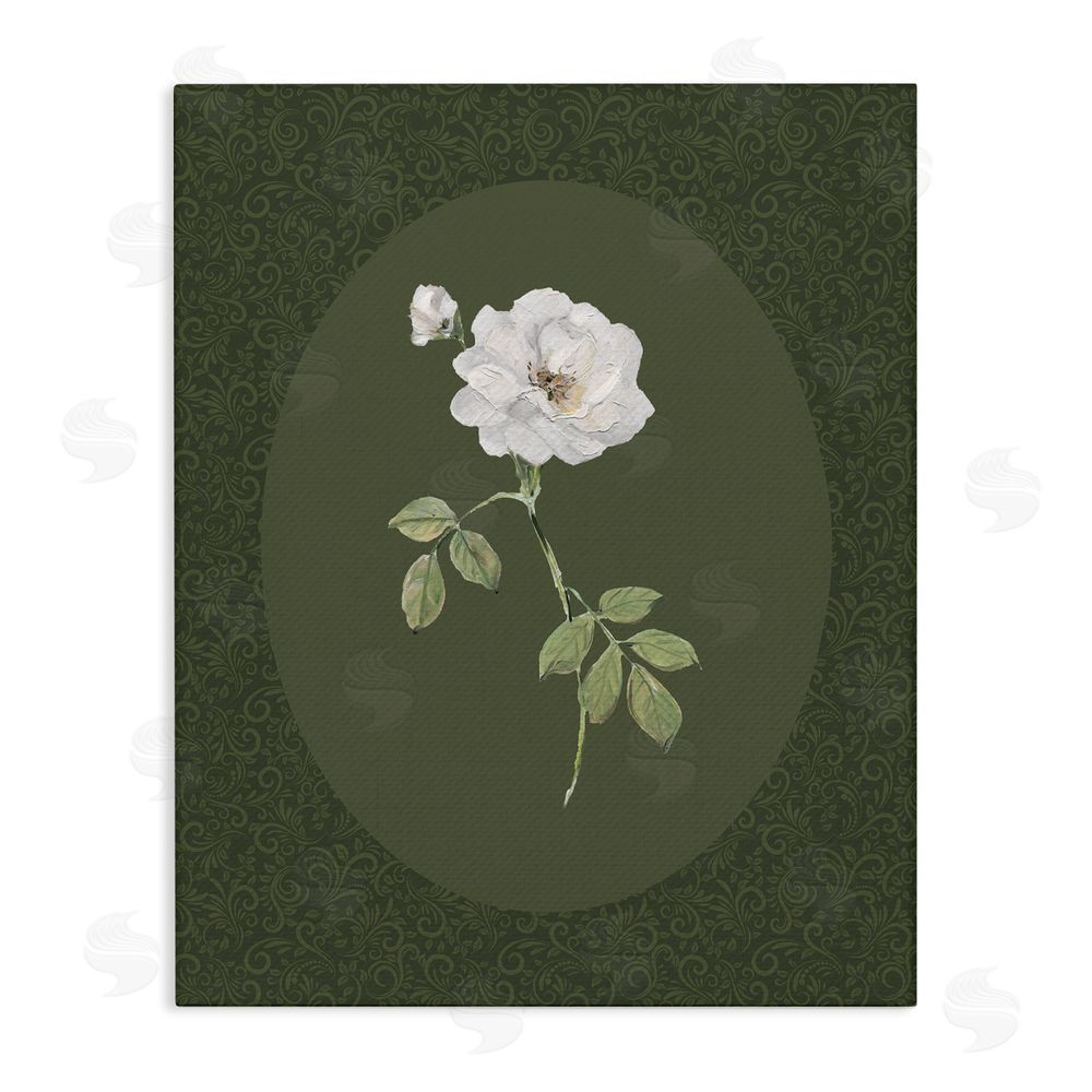 Sally Swatland White Rose on Emerald Stretched Canvas Wall Art Print