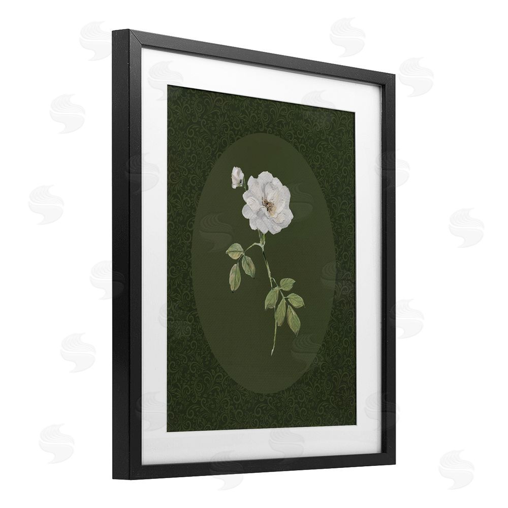 Sally Swatland White Rose on Emerald Black Framed Print Under Glass Wall Art