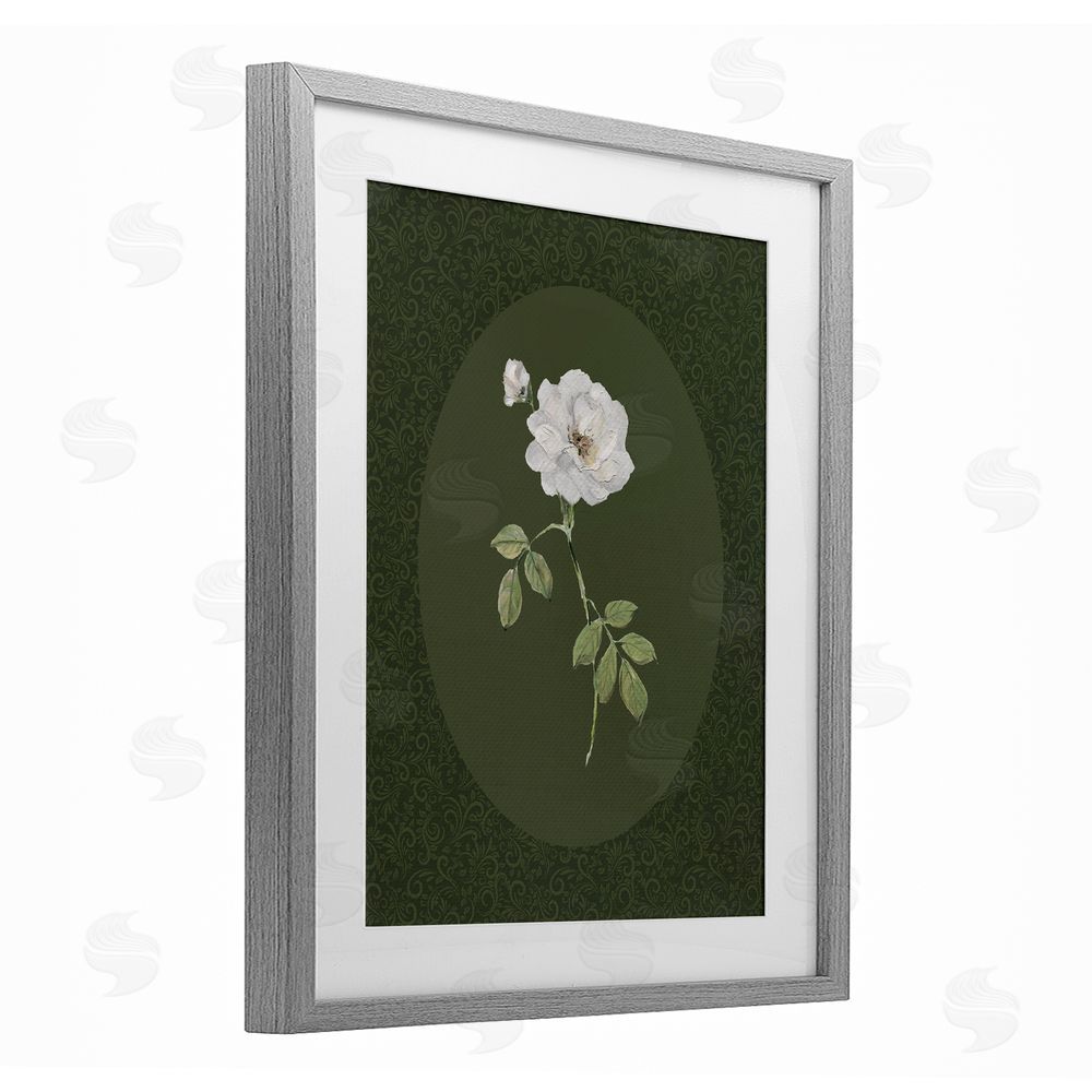 Sally Swatland White Rose on Emerald Gray Framed Print Under Glass Wall Art