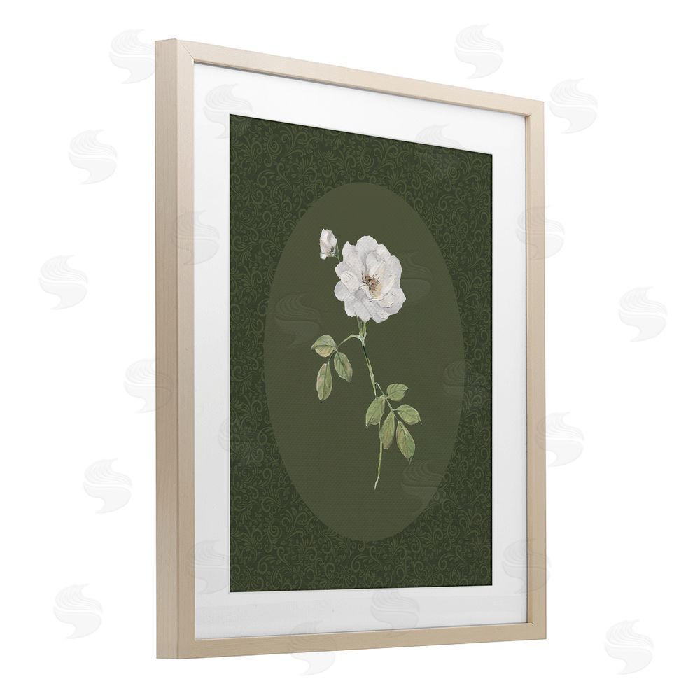 Sally Swatland White Rose on Emerald Brown Framed Print Under Glass Wall Art