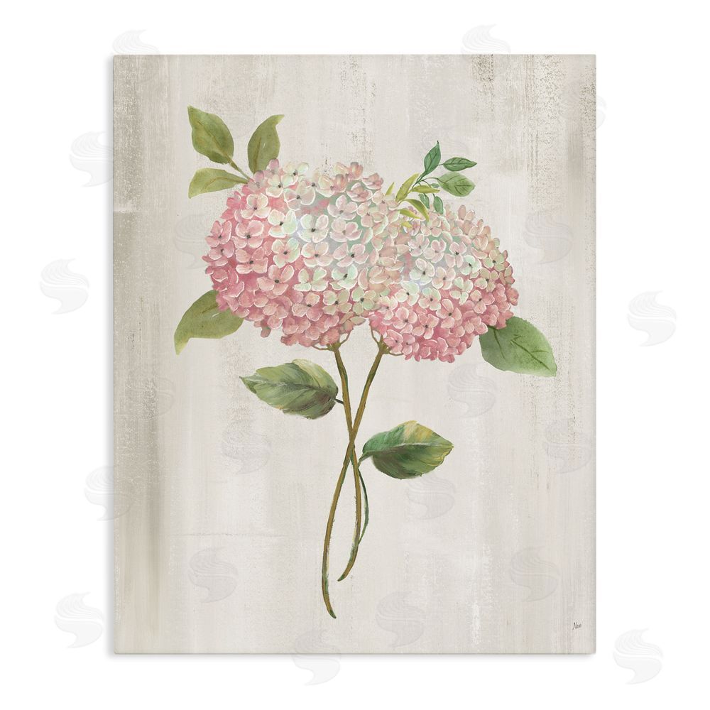 Nan Vintage Pink Hydrangea Stretched Canvas Wall Art Print