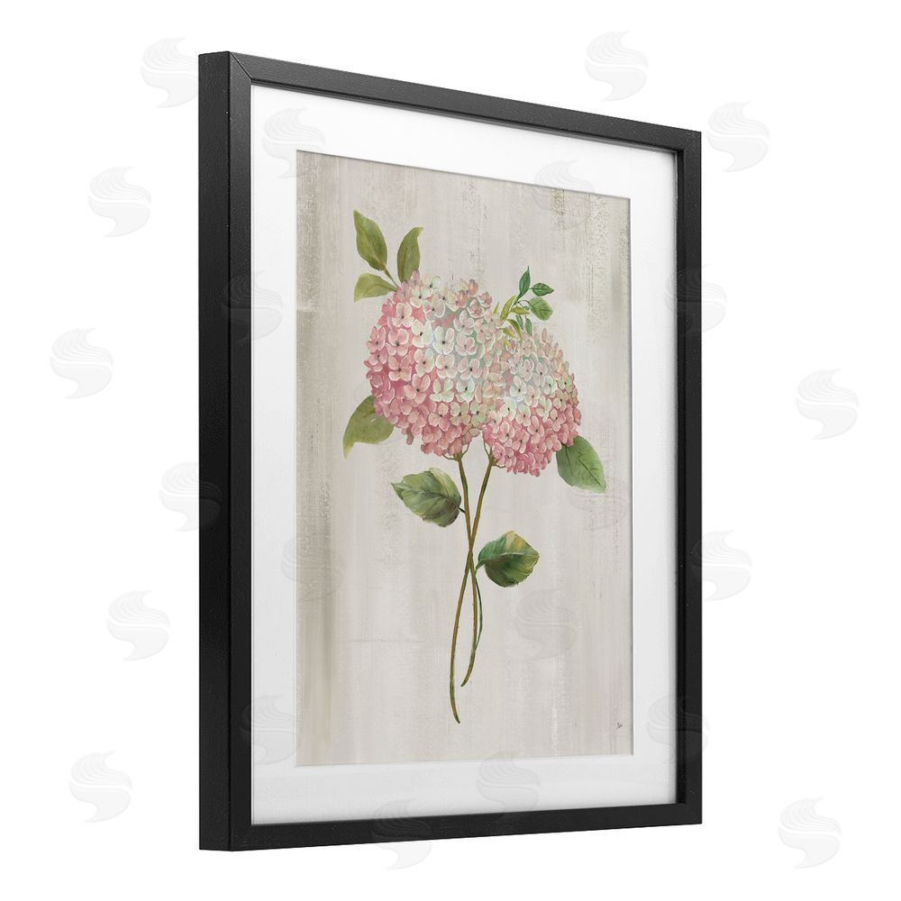 Nan Vintage Pink Hydrangea Black Framed Print Under Glass Wall Art