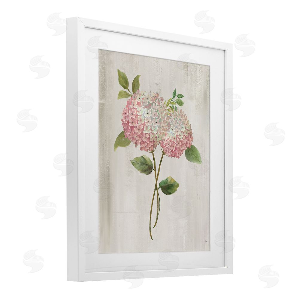 Nan Vintage Pink Hydrangea White Framed Print Under Glass Wall Art