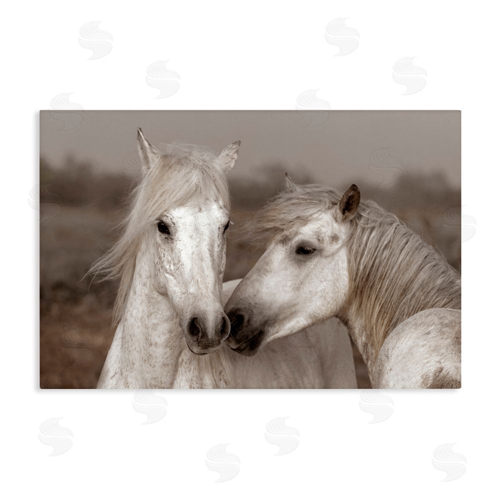Danita Delimont Gentle Companionship Horses Stretched Canvas Wall Art Print