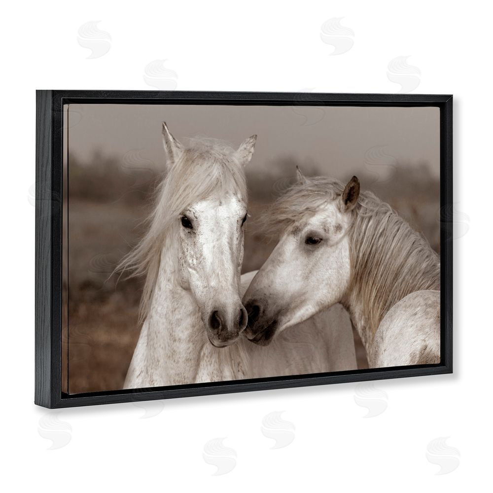 Danita Delimont Gentle Companionship Horses Black Floating Frame Canvas Wall Art Print