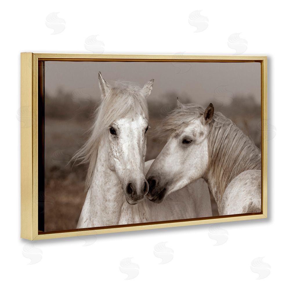 Danita Delimont Gentle Companionship Horses Gold Floating Frame Canvas Wall Art Print