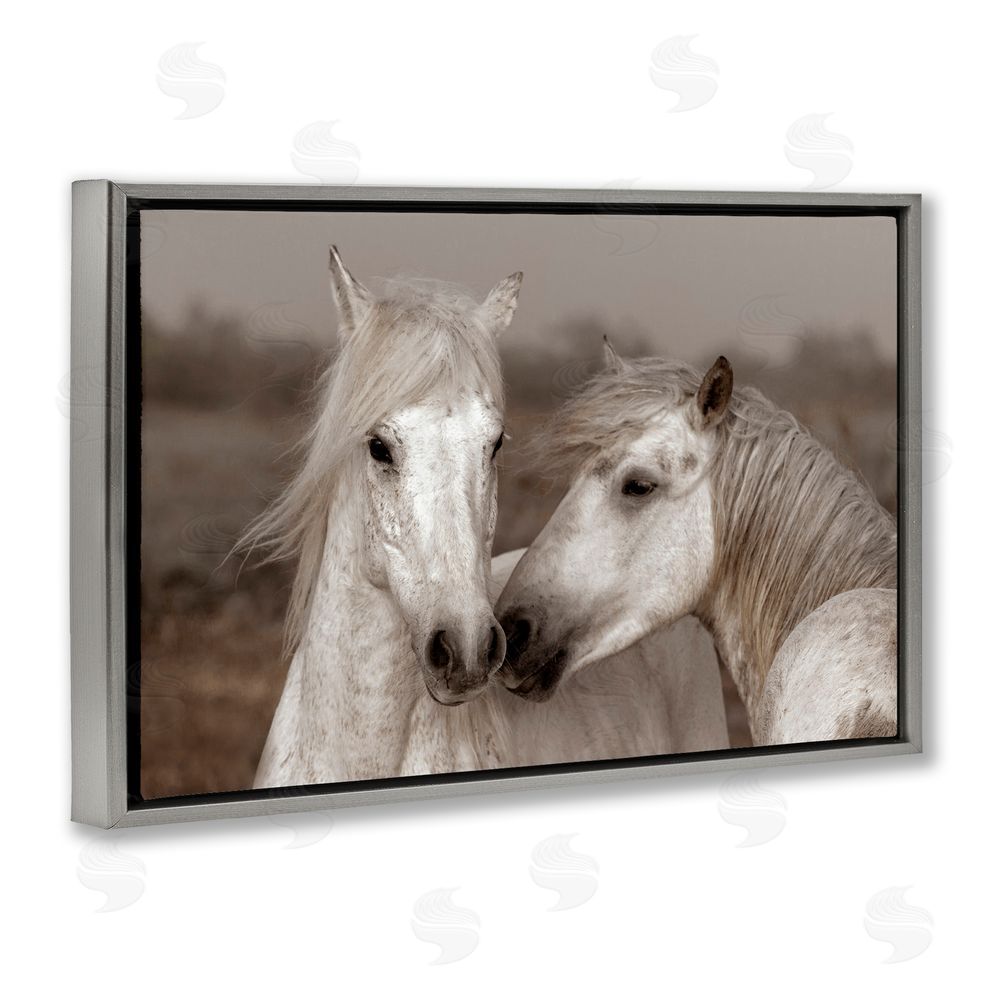 Danita Delimont Gentle Companionship Horses Gray Floating Frame Canvas Wall Art Print