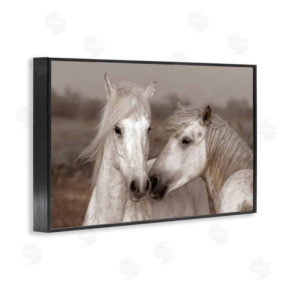 Danita Delimont Gentle Companionship Horses Black Framed Giclee Wall Art Print