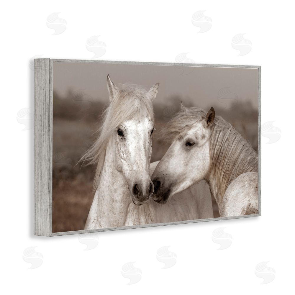 Danita Delimont Gentle Companionship Horses Gray Framed Giclee Wall Art Print