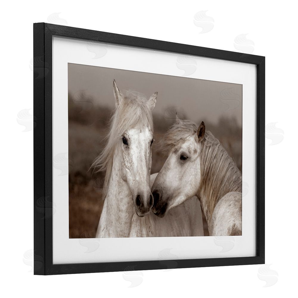 Danita Delimont Gentle Companionship Horses Black Framed Print Under Glass Wall Art